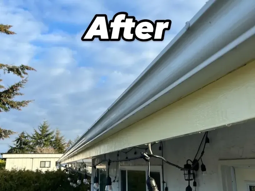 After gutter cleaning: the same gutter face bright white against a blue sky