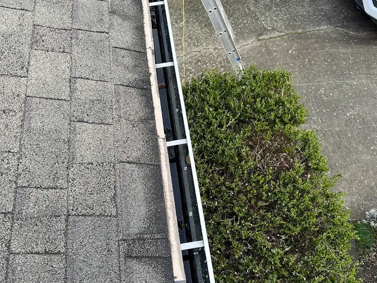 A ladder set against a cleared gutter run above a driveway