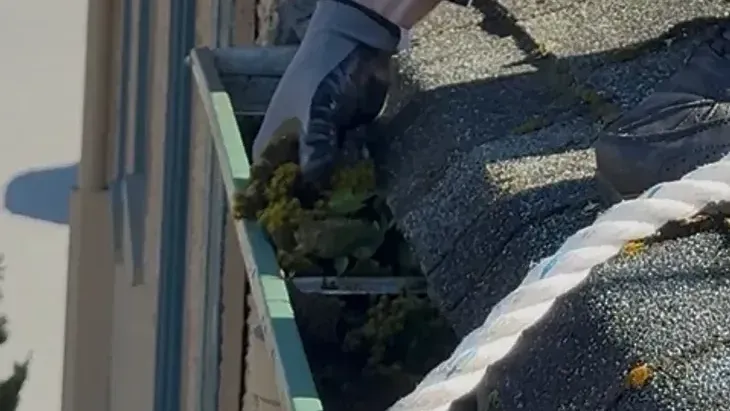An open gutter with weeds rooted in it, cleared by hand