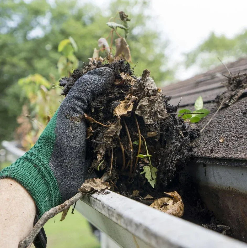 A gloved hand lifting a mat of wet leaves and debris from a gutter